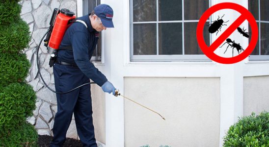 Etimesgut Böcek İlaçlama böcek ilaçlama ve haşere kontrolü — ilaclama-tr.com